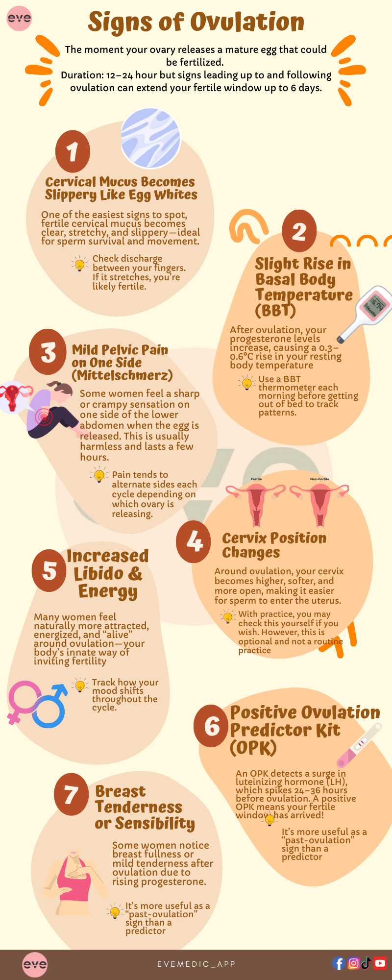 signsofovulation Image